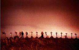 15crosses